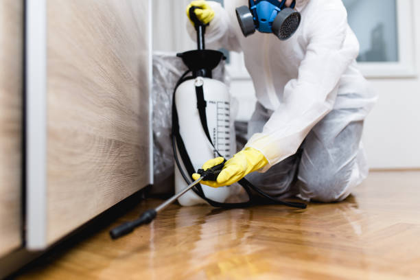 Best Pest Prevention Services  in Frazee, MN